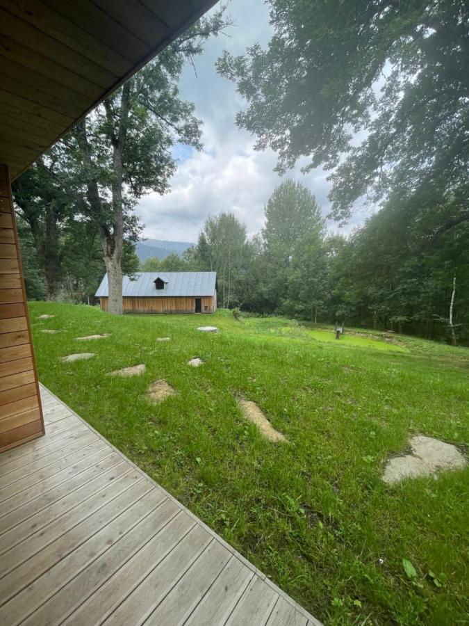 Apartmán Apartmán pod Jasanem Hojsova Stráž Brčálník Železná Ruda Exteriér fotografie