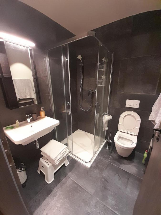 Apartmán Apartmán pod Jasanem Hojsova Stráž Brčálník Železná Ruda Exteriér fotografie