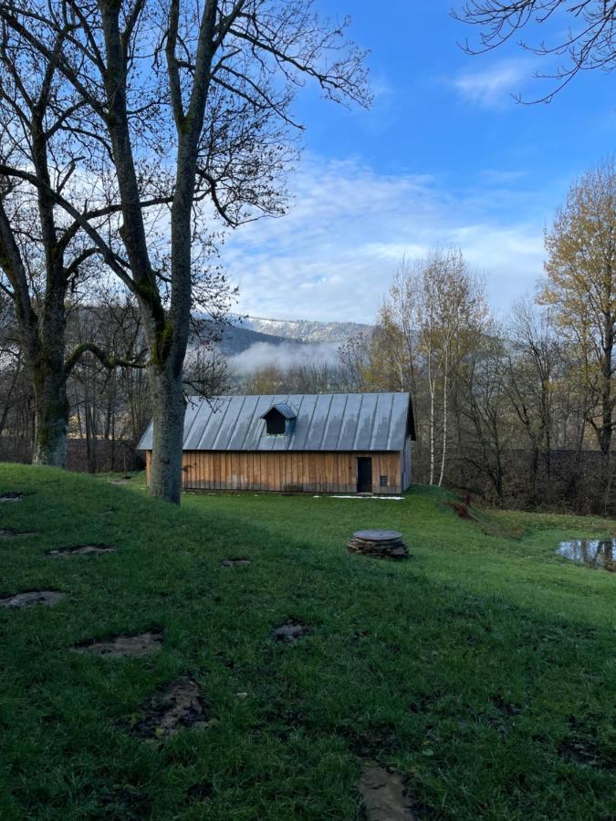 Apartmán Apartmán pod Jasanem Hojsova Stráž Brčálník Železná Ruda Exteriér fotografie