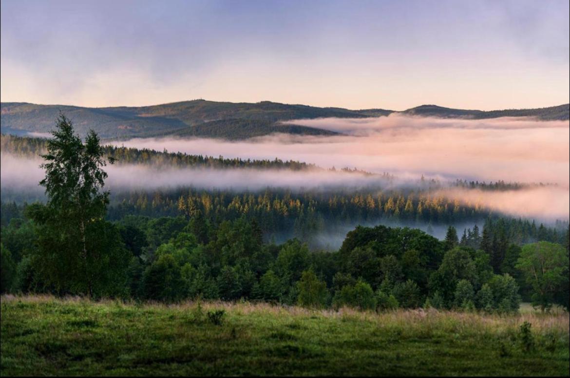 Apartmán Apartmán pod Jasanem Hojsova Stráž Brčálník Železná Ruda Exteriér fotografie